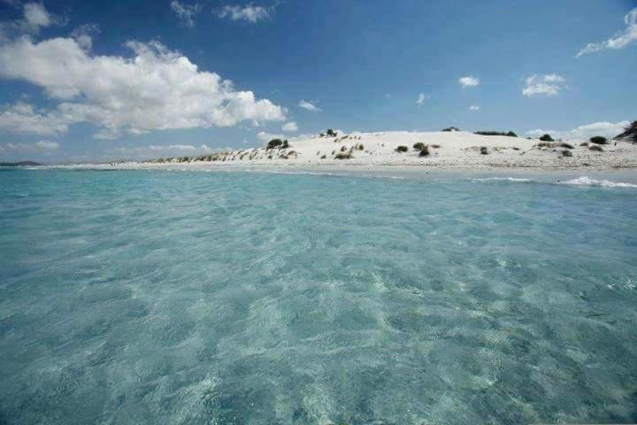 Casa Sonia Διαμέρισμα Porto Pino Εξωτερικό φωτογραφία