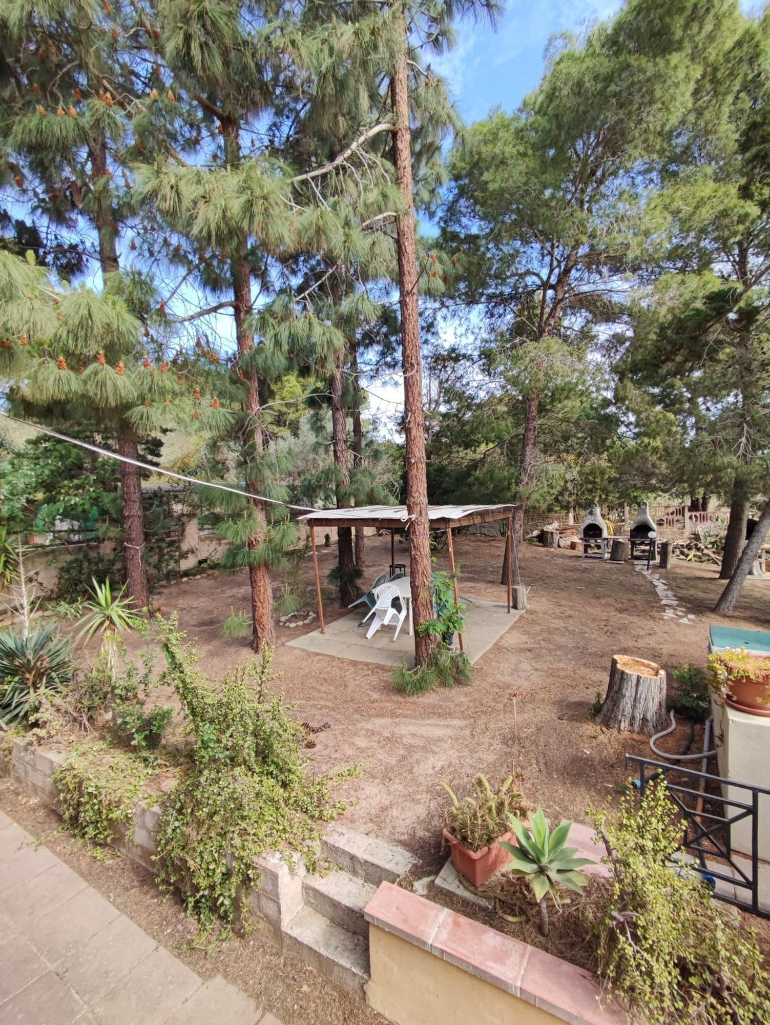 Casa Sonia Διαμέρισμα Porto Pino Εξωτερικό φωτογραφία