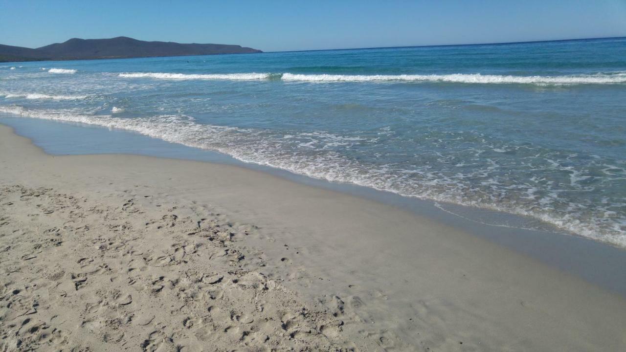 Casa Sonia Διαμέρισμα Porto Pino Εξωτερικό φωτογραφία